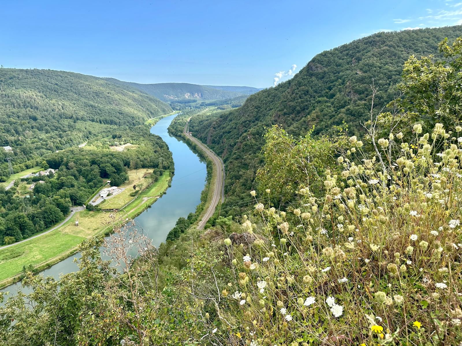 WhatsApp Image 2024-11-01 at 12.08.23 (1)