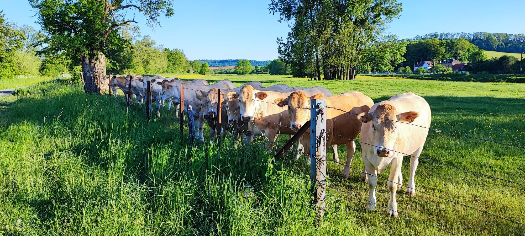 PHOTO-2025-05-09-20-11-24