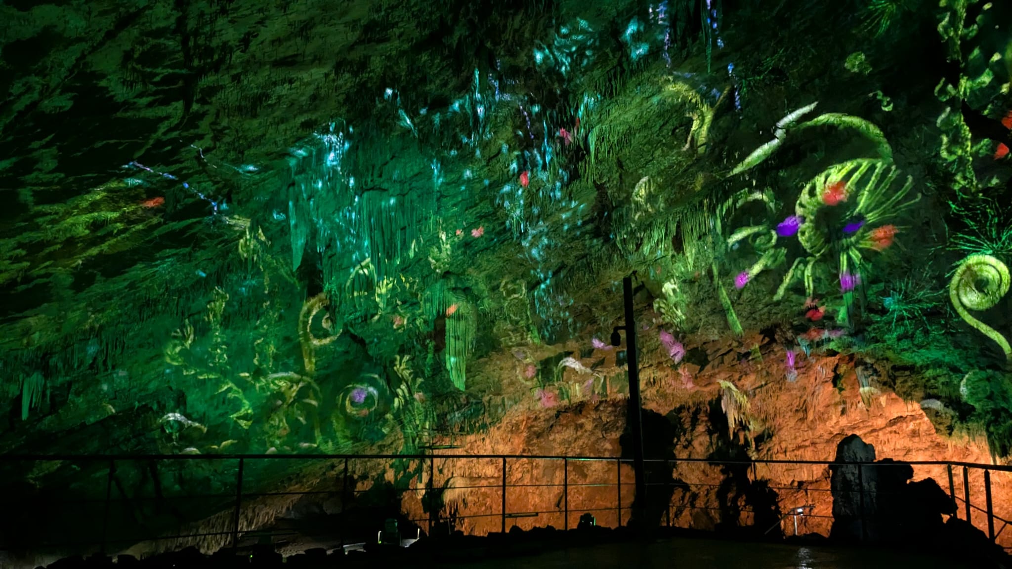 PHOTO-2025-05-09-22-33-50