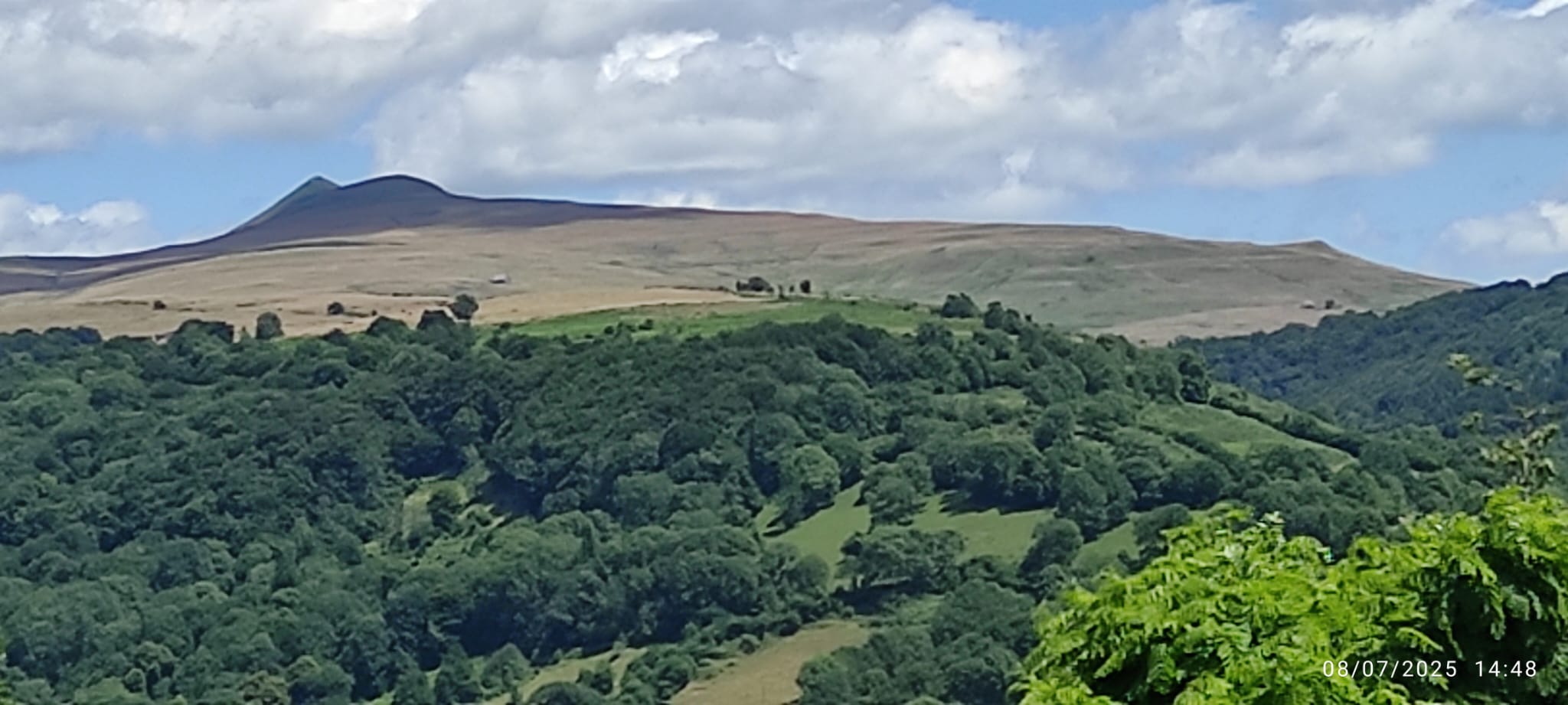 PHOTO-2025-07-09-05-03-21(2)