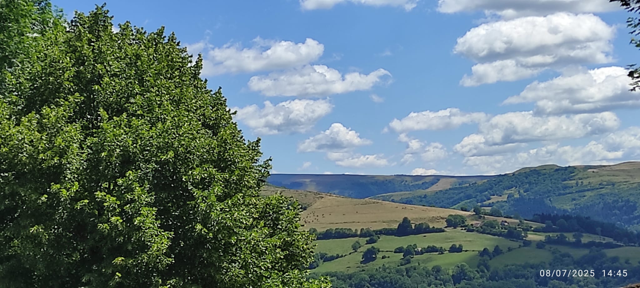 PHOTO-2025-07-09-05-03-22(1)