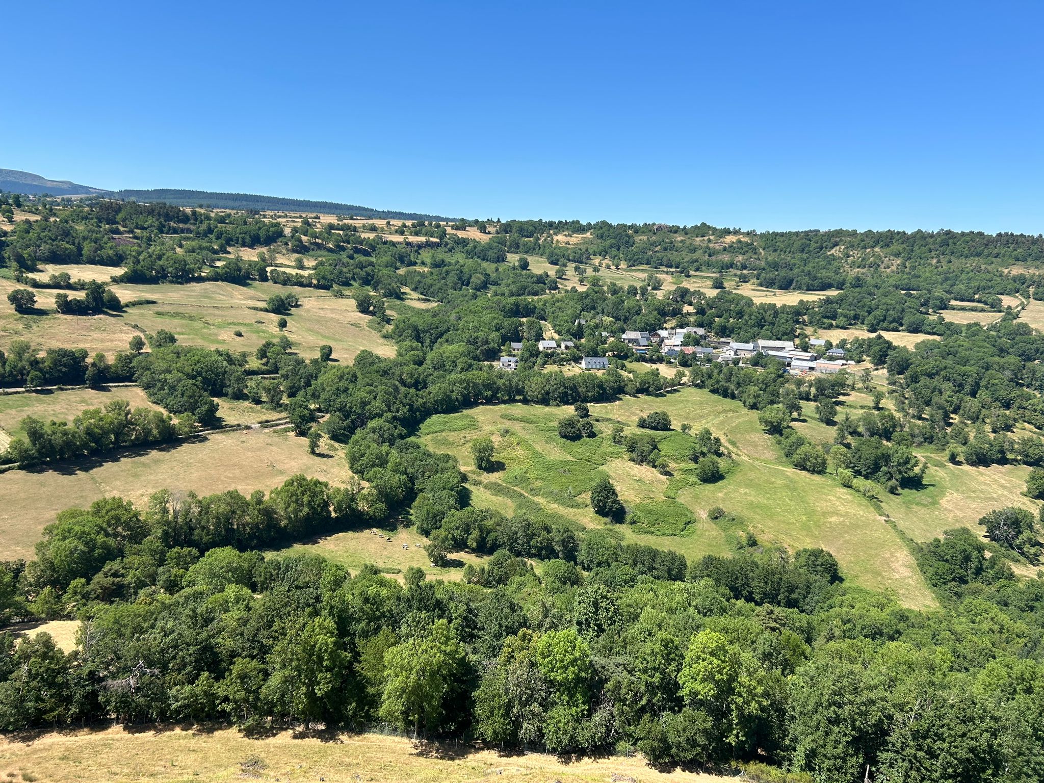 PHOTO-2025-07-12-04-03-19(4)