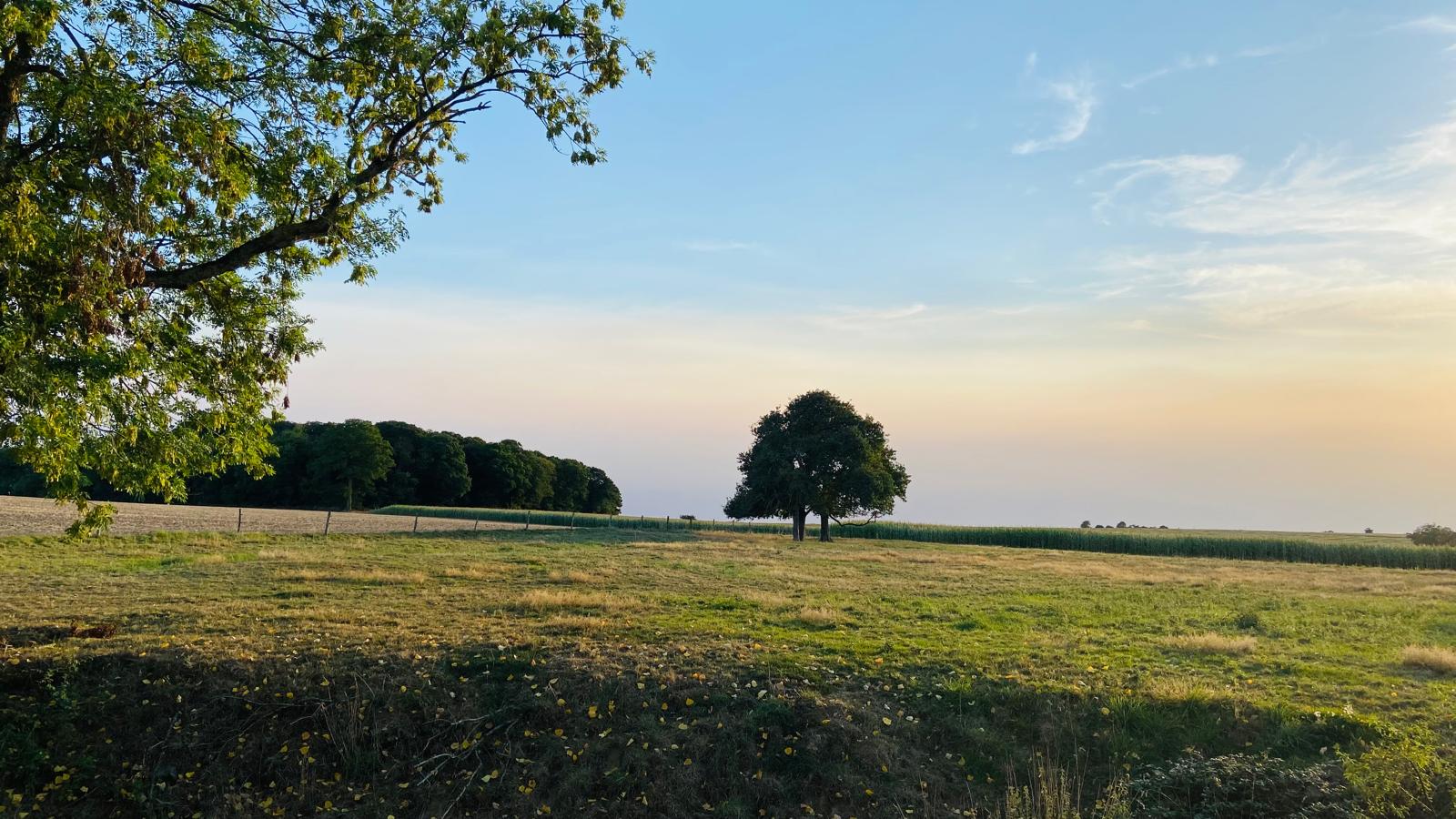 PHOTO-2025-08-15-20-07-35