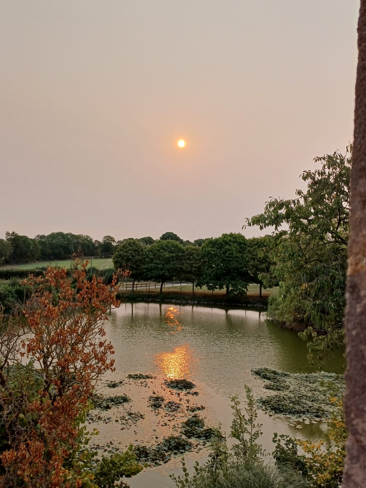 PHOTO-2025-08-16-08-34-23