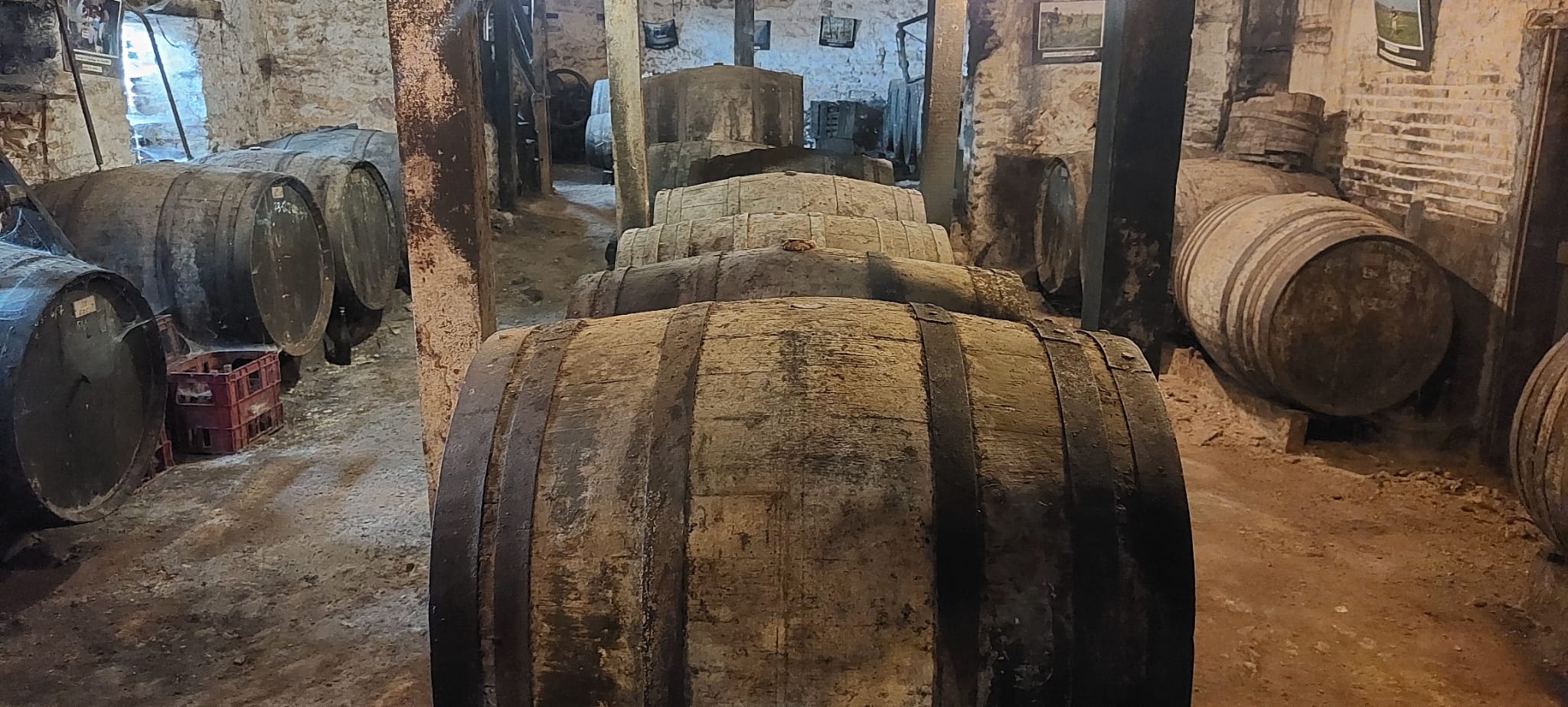 PHOTO-2025-08-16-15-44-43