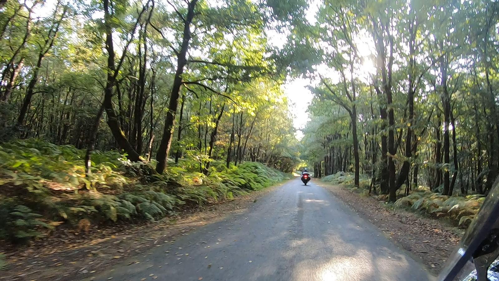 PHOTO-2025-08-17-09-10-55(1)