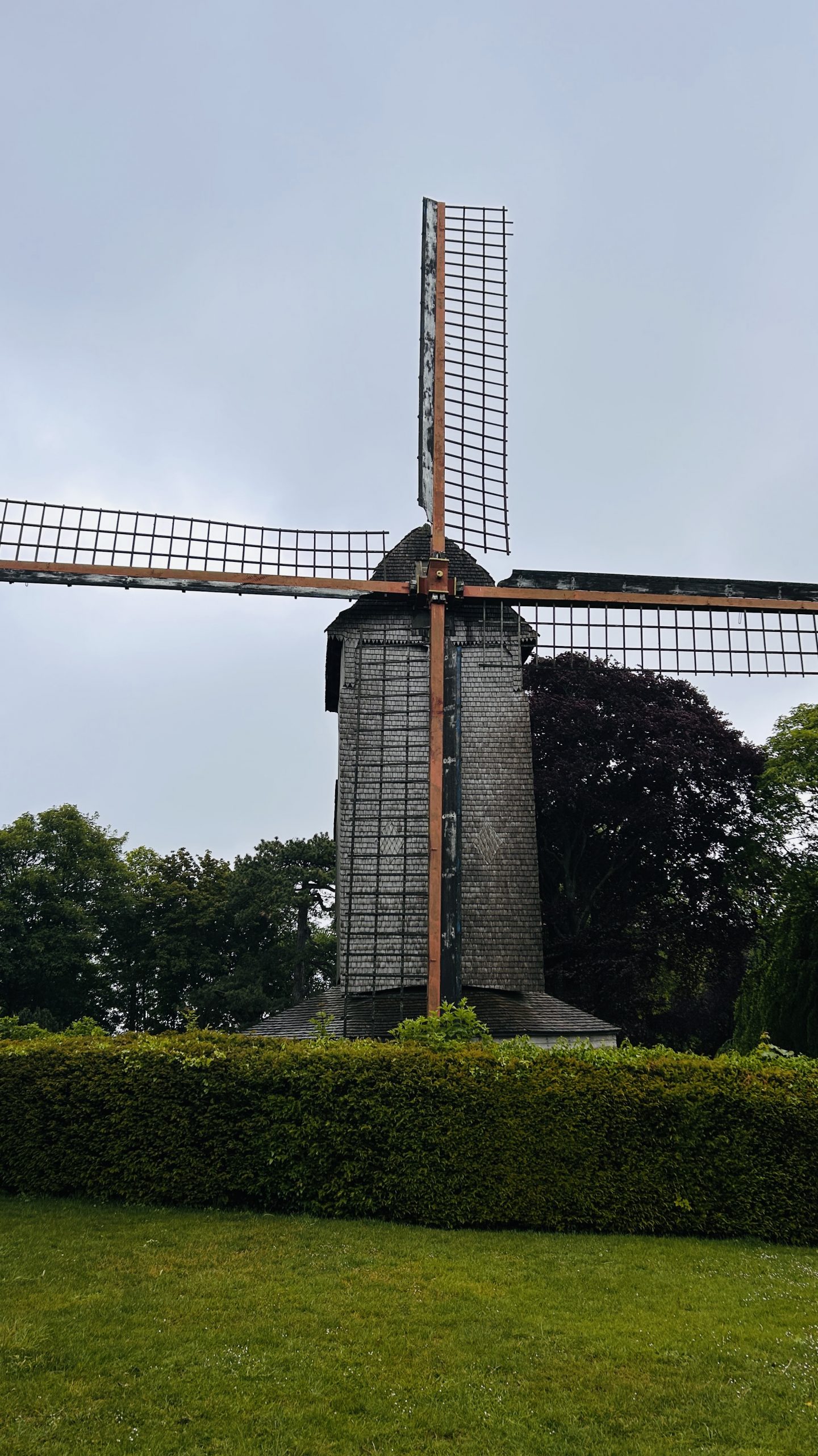IMG_1202