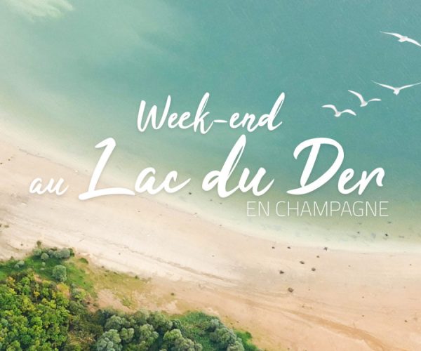 Weekend au lac de Der